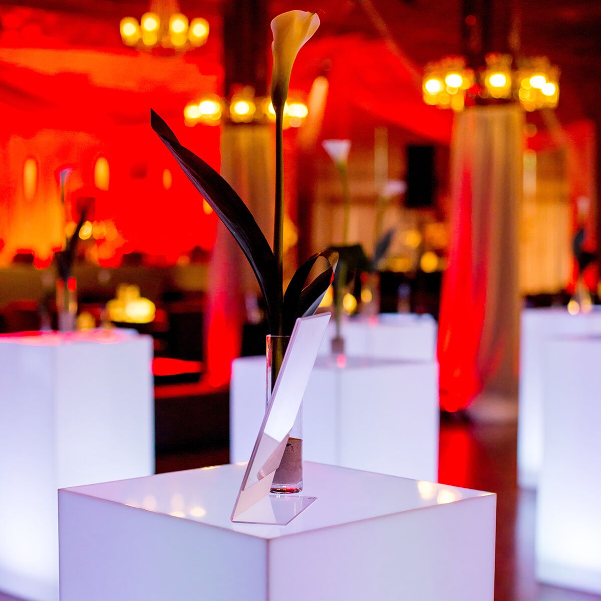 led säulen stehtisch mieten für event apéro